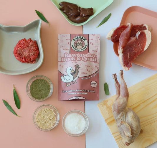 Duck & Quail Premium Complete Raw Cat Food 250g for Cats & Kittens