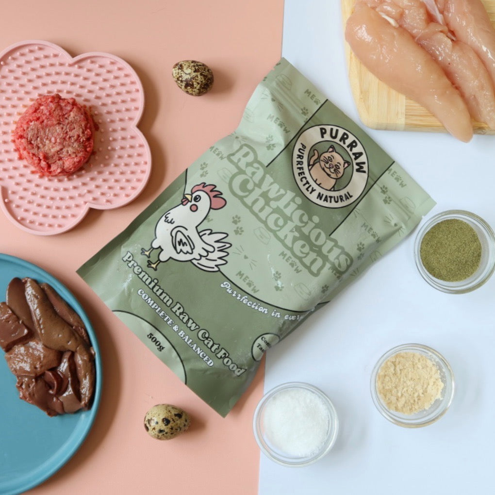 Purraw Raw Chicken natural cat food flat lay with ingredients