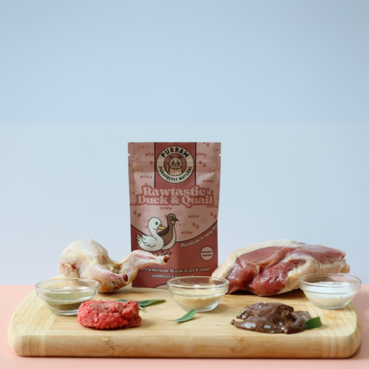 Duck & Quail Premium Complete Raw Cat Food 250g for Cats & Kittens