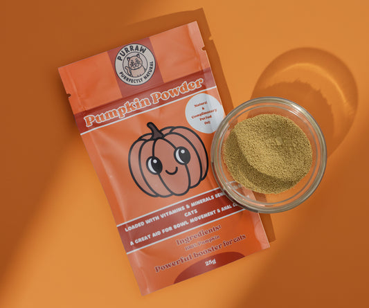 Pumpkin Powder Supplement - 25g