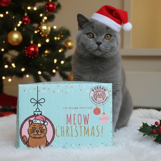 Purraw Christmas Advent Calendar - Natural Treats