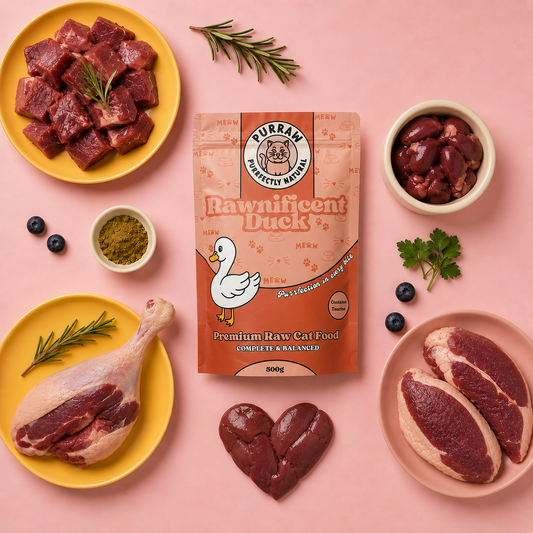 Duck Premium Complete Raw Cat Food - 500g For Cats & Kittens